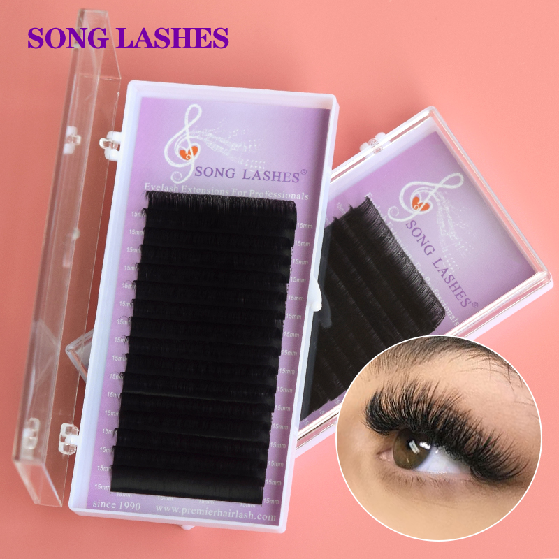 SONG LASHES Wholesale Price 16 - огляд і ціна Beauty Makeup Songs