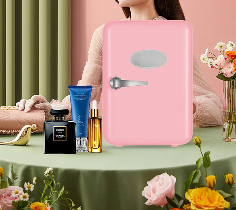 Dual-Use 4L Home Car Use Refri - огляд і ціна Beauty Makeup Fridge