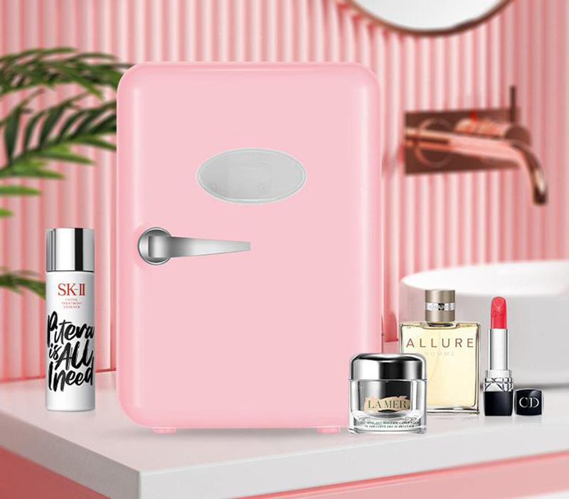Dual-Use 4L Home Car Use Refri - огляд і ціна Beauty Makeup Fridge